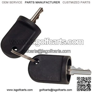 EZGO Rxv Keys, Set of 2 - 611282