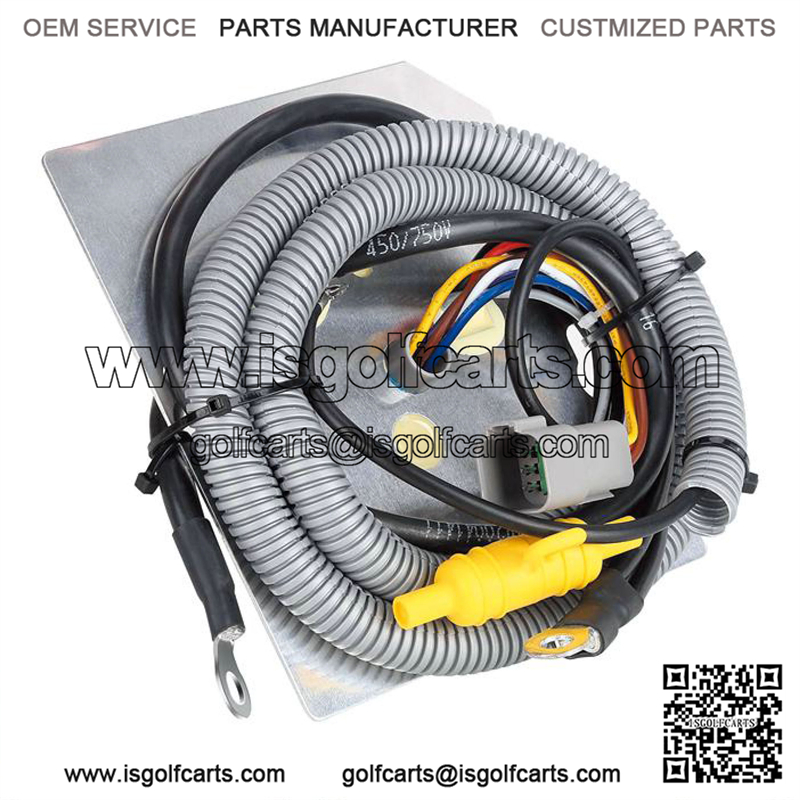 Club Car DS Electric 48V Golf Cart On Board Computer OBC OEM# 101909902, AM1229201