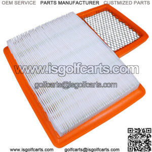 Yamaha Drive2 Air Filter (For 4-cycle Gas, Fuel Injected)