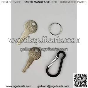 Aree 17063-G1 Ignition Keys Compatiable with EZGO (1982-Up) Gas and Electric Golf Cart Replacement Ignition Key (2PCS)