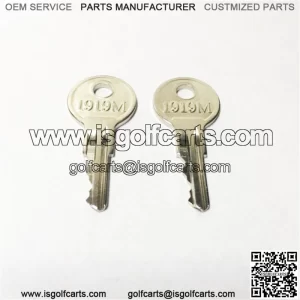 EZGO Golf Cart Gas & Electric keys 82+ Including TXT, RXV (set of 2) New Parts